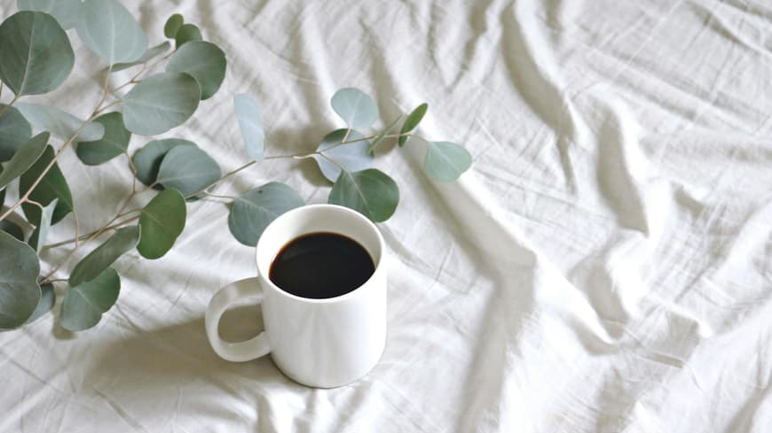 Abnehmen mit Kaffee funktioniert unter einer Bedingung. Kaffeebecher und Eucalyptus auf einem Bettlaken.