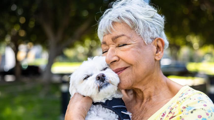 Verschmuste Hunderassen bekommen gar nicht genug Nähe ihrer Besitzer. Frau schmust mit einem weißen kleinen Hund.