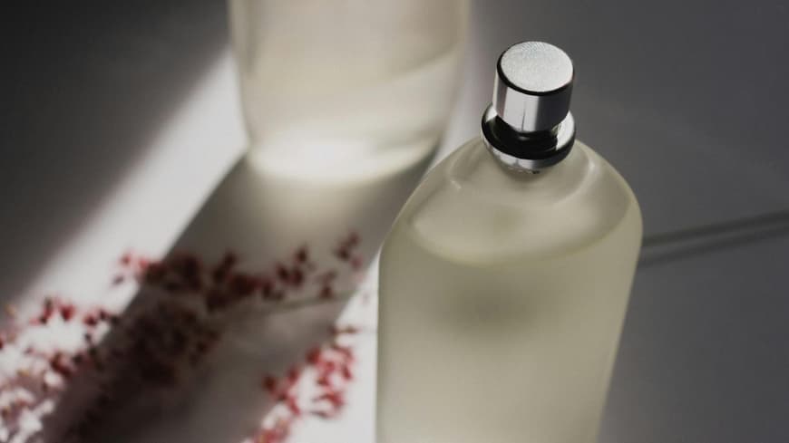 Parfum Haltbarkeit hängt von verschiedenen Faktoren ab. Parfum-Flakon mit rötlichen Trockenblumen im Hintergrund.