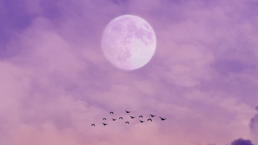 Der Juli-Vollmond bringt für 3 Sternzeichen bahnbrechende Veränderungen. Vollmondhimmel