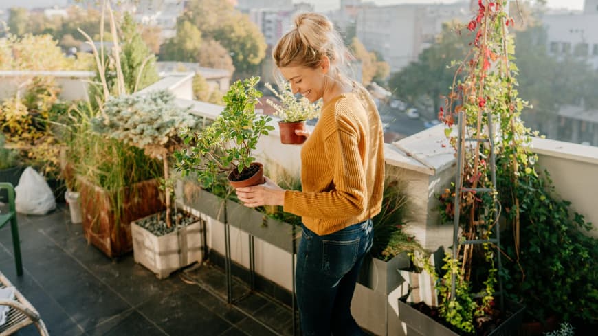 Pflanzen für einen sonnigen Balkon sind sehr beliebt. Frau steht auf einem Balkon und hält Pflanzen in der Hand.