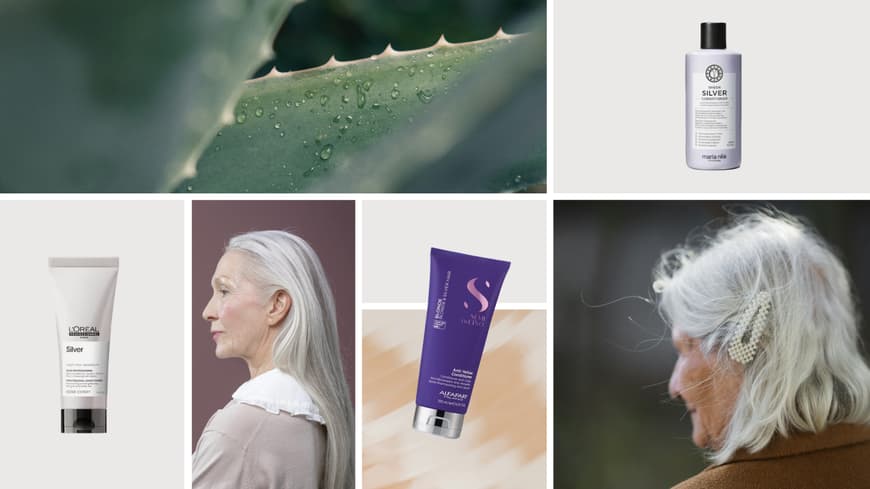 Der beste Conditioner für graue Haare sollte Feuchtigkeit spenden. Collage mit Bildern von Conditioner, Aloe vera und Frauen mit grauen Haaren.