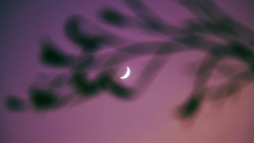 Diesen 3 Sternzeichen steht jetzt ein glücklicheres Lebenskapitel bevor. Mond am lila Abendhimmel