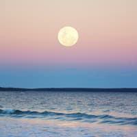 Für welche drei Sternzeichen sich bis Ende Mai noch alles zum Positiven wendet, erfährst du hier. Vollmond überm Meer