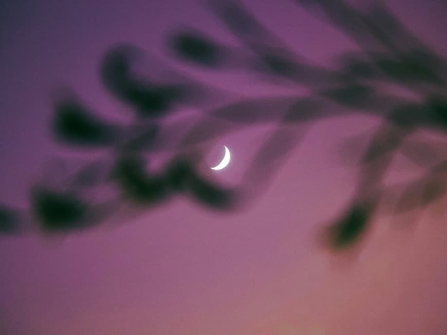 Diesen 3 Sternzeichen steht jetzt ein glücklicheres Lebenskapitel bevor. Mond am lila Abendhimmel